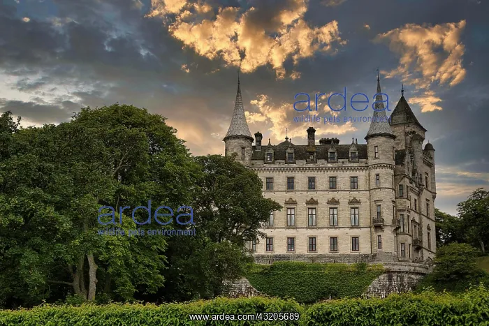 : Dunrobin Castle, Evening Sky, Golspie, Sutherland : Dunrobin Castle, Evening Sky, Golspie, Sutherland