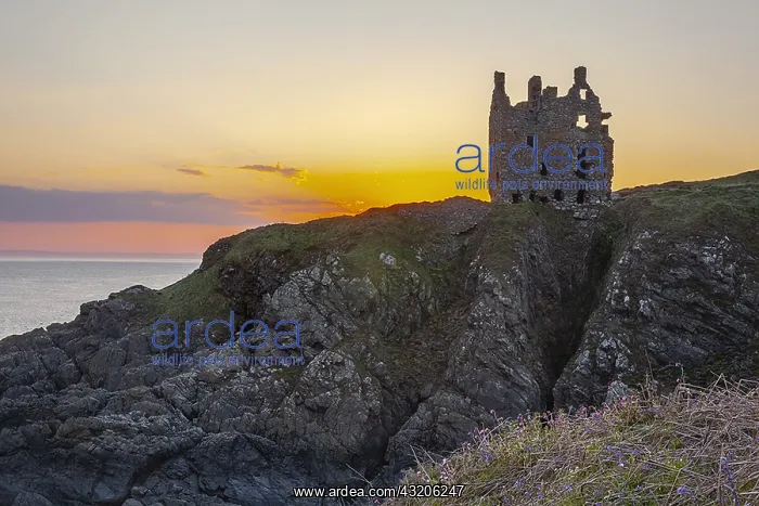 : Dunskey Castle - ancient tower house built on top : Dunskey Castle - ancient tower house built on top
