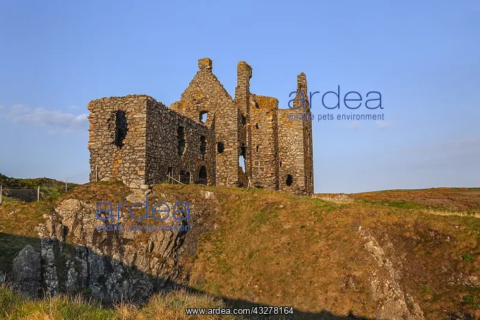 : Dunskey Castle - ancient tower house built on top : Dunskey Castle - ancient tower house built on top