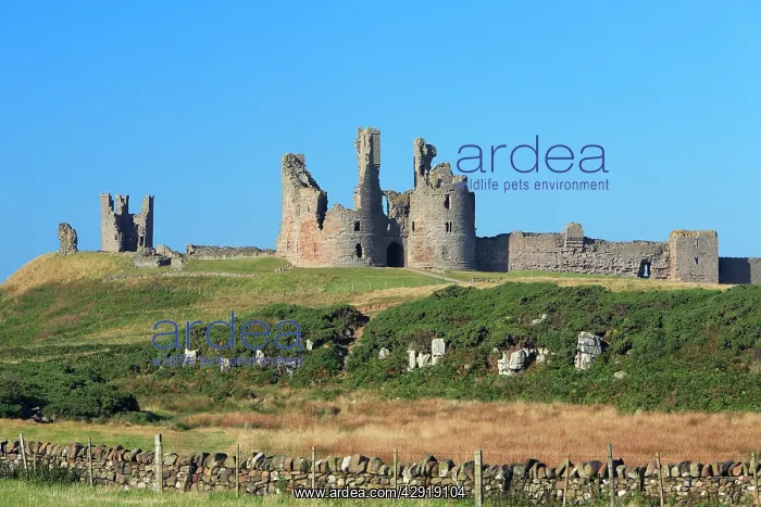 : Dunstanburgh Castle : Dunstanburgh Castle
