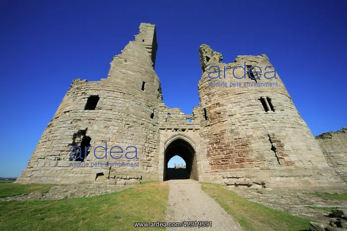 : Dunstanburgh Castle - entrance to castle grounds : Dunstanburgh Castle - entrance to castle grounds