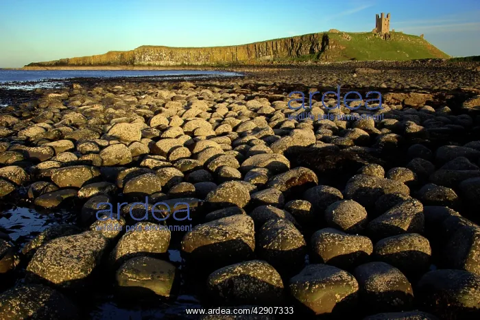 : Dunstanburgh Castle - view from the north of castle : Dunstanburgh Castle - view from the north of castle