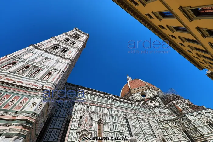  : The Duomo, the Cathedral of Santa Maria del Fiore