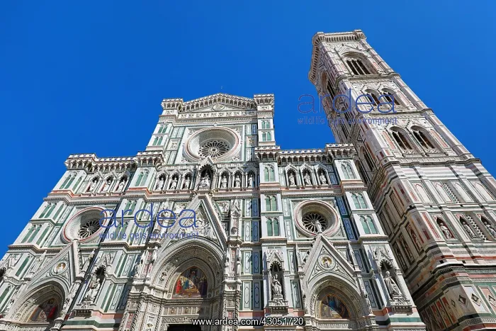 : The Duomo, the Cathedral of Santa Maria del Fiore : The Duomo, the Cathedral of Santa Maria del Fiore