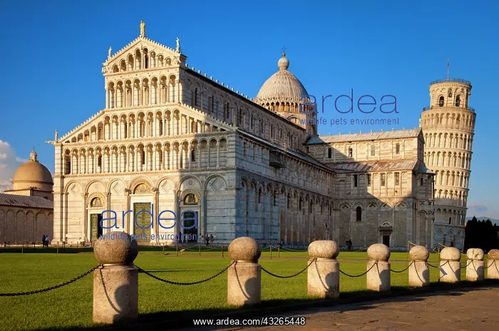 : The Duomo Santa Maria Assunta, and the Leaning : The Duomo Santa Maria Assunta, and the Leaning