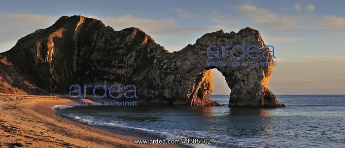 : Durdle Door, a natural limestone arch at sunset : Durdle Door, a natural limestone arch at sunset