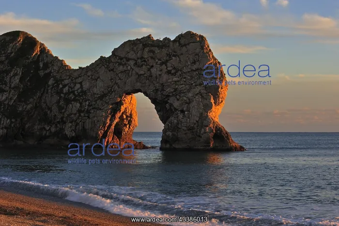 : Durdle Door, a natural limestone arch at sunset : Durdle Door, a natural limestone arch at sunset