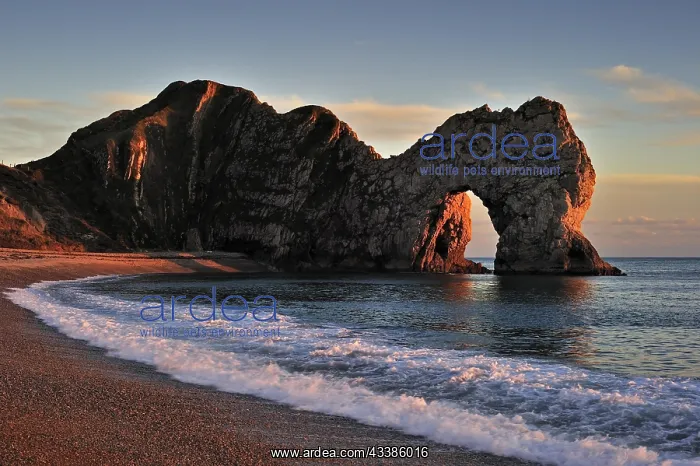 : Durdle Door, a natural limestone arch at sunset : Durdle Door, a natural limestone arch at sunset