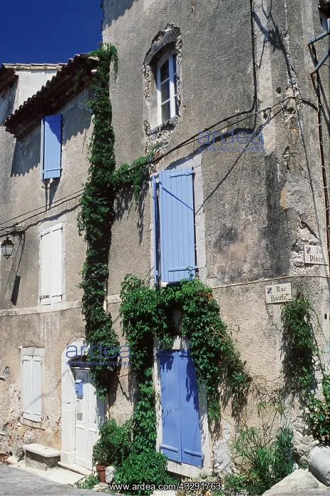 : Durfort, France - Blue shutters on Rue Saute : Durfort, France - Blue shutters on Rue Saute
