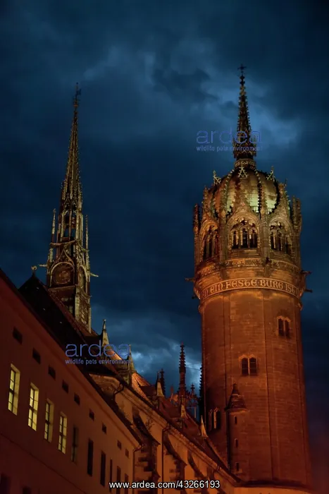 : At dusk, the illuminated tower and spire : At dusk, the illuminated tower and spire
