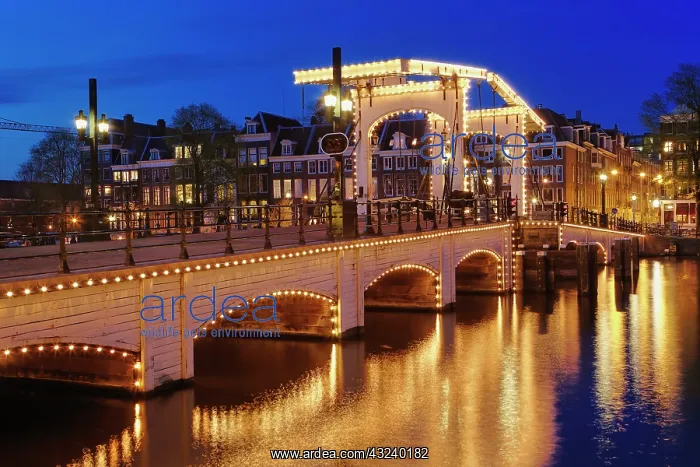 : Dusk view of Magere Brug or Skinny Bridge : Dusk view of Magere Brug or Skinny Bridge