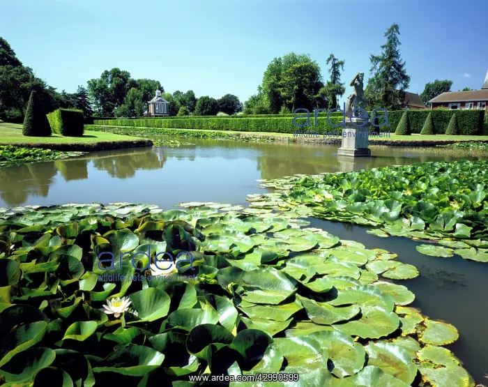 : The Dutch Water Garden at Westury Court at Westury on Severn : The Dutch Water Garden at Westury Court at Westury on Severn