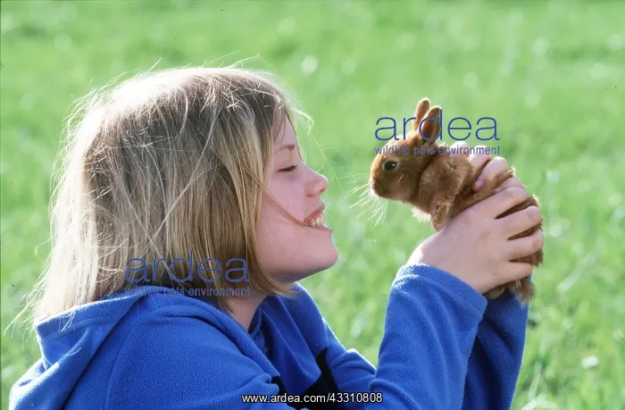  : DWARF RABBIT HELD UP BY GIRL
