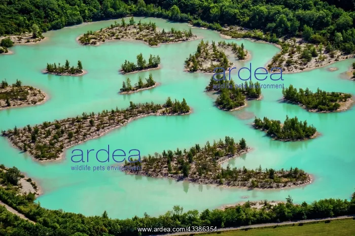 : Dyckerhoffsee nature reserve, blue lagoon with turquoise-col : Dyckerhoffsee nature reserve, blue lagoon with turquoise-col