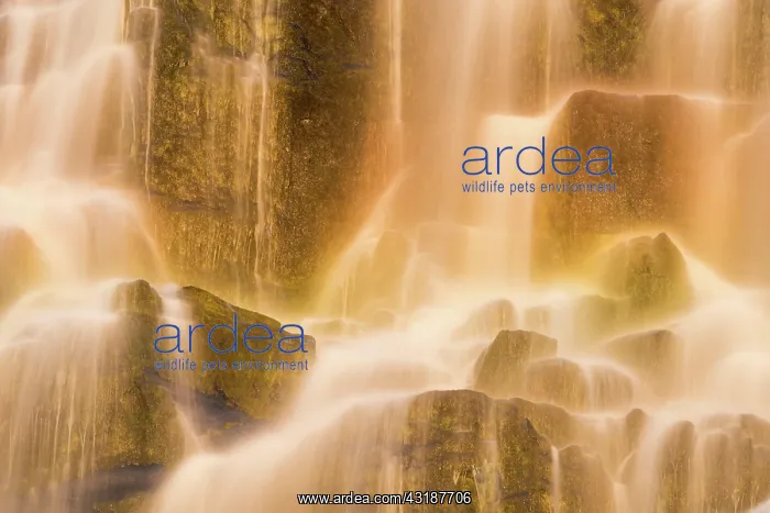 : Dynjandifoss or Fjallfoss, largest waterfall of : Dynjandifoss or Fjallfoss, largest waterfall of