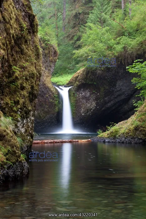 : Eagle Creek waterfalls : Eagle Creek waterfalls