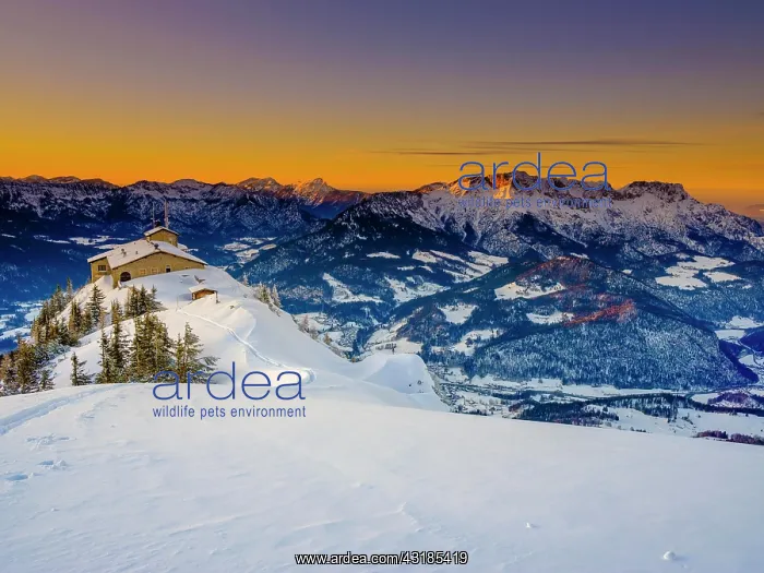 : Eagle's Nest at dusk, back right the Untersberg : Eagle's Nest at dusk, back right the Untersberg