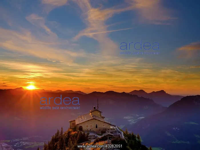 : Eagles Nest at sunset with cirrus clouds, Berchtesgadener : Eagles Nest at sunset with cirrus clouds, Berchtesgadener