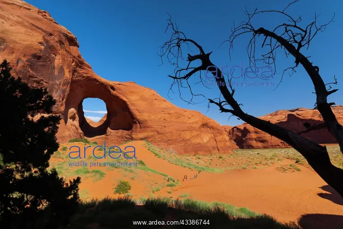 : The ear of the wind, natural wonder, in Monument : The ear of the wind, natural wonder, in Monument