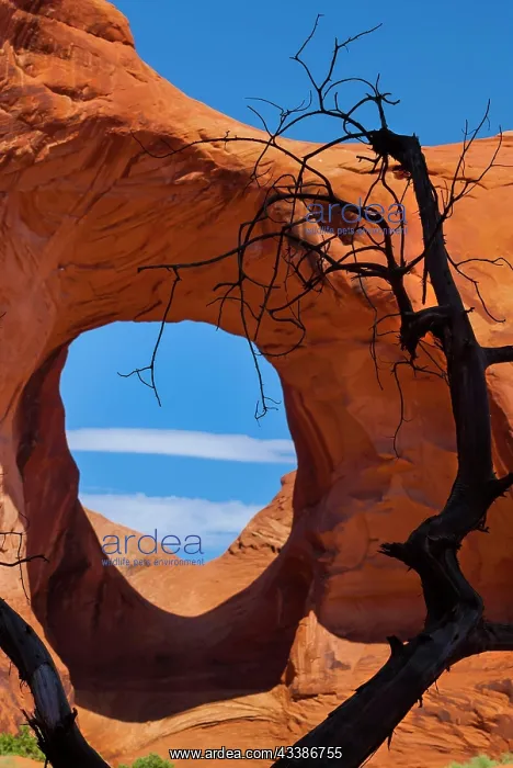 : The ear of the wind, natural wonder, in Monument : The ear of the wind, natural wonder, in Monument