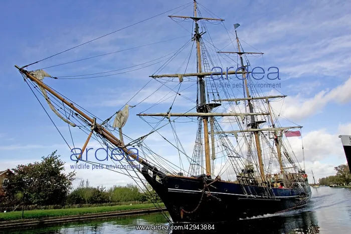 : Earl of Pembroke three masted tall ship barque : Earl of Pembroke three masted tall ship barque