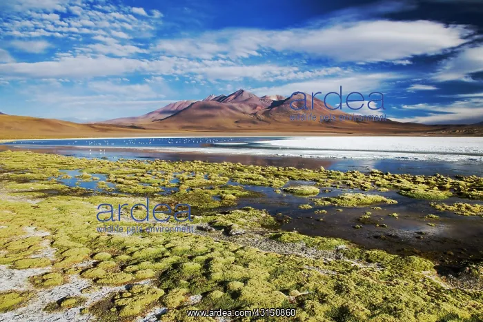 : Early evening light on Laguna Canapa : Early evening light on Laguna Canapa