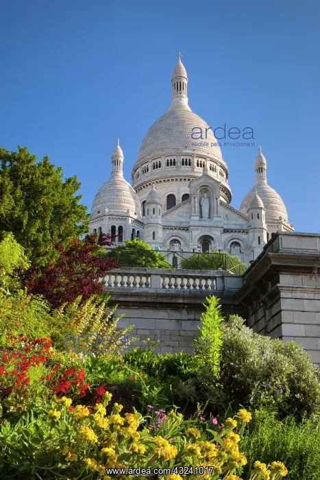 : Early morning below Basilique du Sacre Coeur : Early morning below Basilique du Sacre Coeur