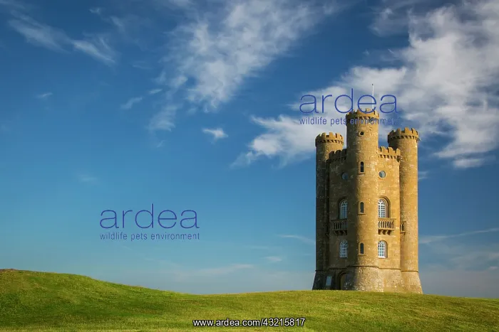 : Early morning at the Broadway Tower, Worcestershire : Early morning at the Broadway Tower, Worcestershire