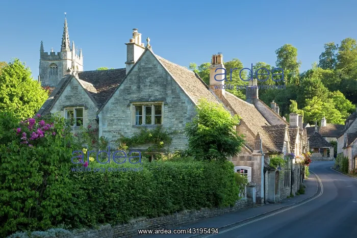 : Early Morning in Castle Combe, the Cotswolds, Wiltshire : Early Morning in Castle Combe, the Cotswolds, Wiltshire