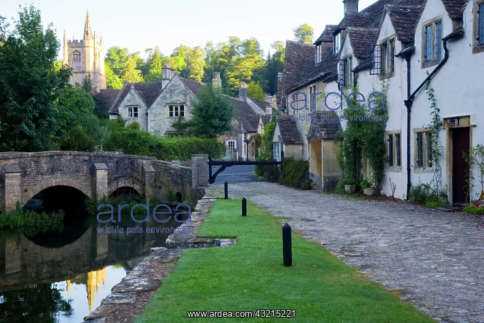 : Early morning, Castle Combe Village, Wiltshire : Early morning, Castle Combe Village, Wiltshire