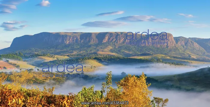 : Early morning fog over valleys and mountains, Serra d : Early morning fog over valleys and mountains, Serra d
