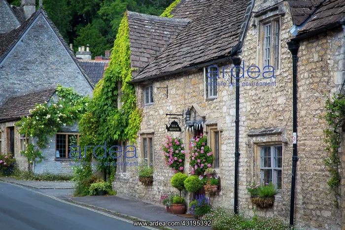 : Early morning along the High Street, Castle Combe : Early morning along the High Street, Castle Combe