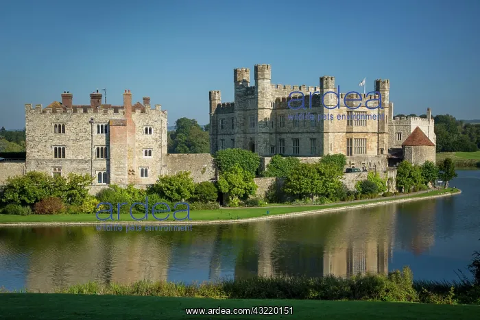 : Early morning at Leed's Castle, Maidstone, Kent : Early morning at Leed's Castle, Maidstone, Kent