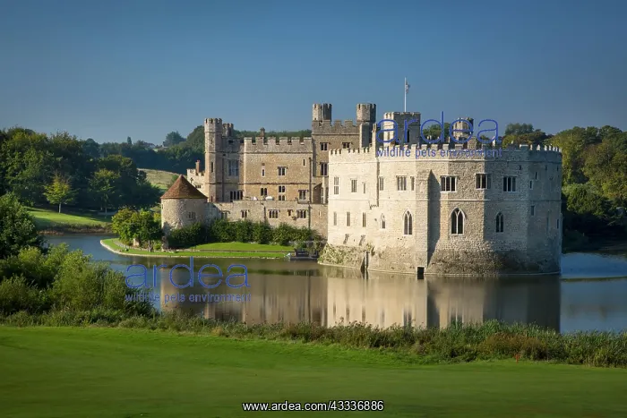 : Early morning at Leed's Castle, Maidstone, Kent : Early morning at Leed's Castle, Maidstone, Kent