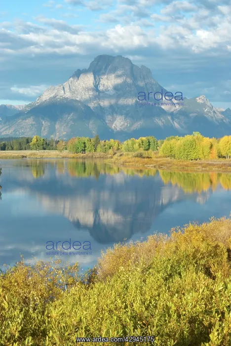 : Early morning light - Oxbow bend : Early morning light - Oxbow bend