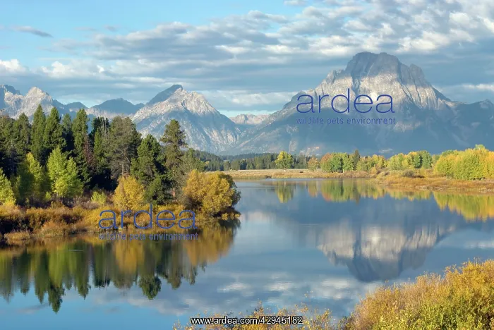 : Early morning light - Oxbow bend : Early morning light - Oxbow bend