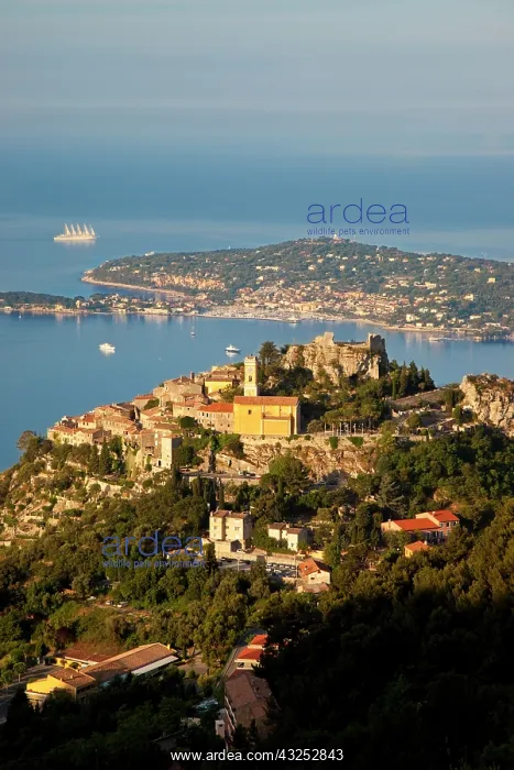 : Early morning over Medieval town of Eze : Early morning over Medieval town of Eze