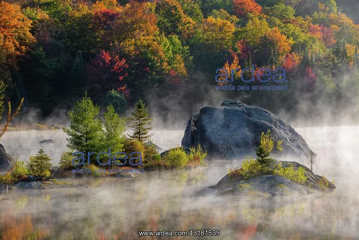 : Early morning mist on lake in Autumn, West Bolton : Early morning mist on lake in Autumn, West Bolton