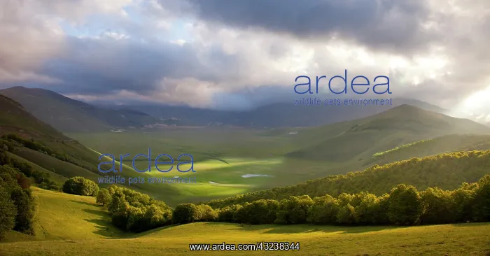 : Early morning over the Piano Grande, Monti : Early morning over the Piano Grande, Monti