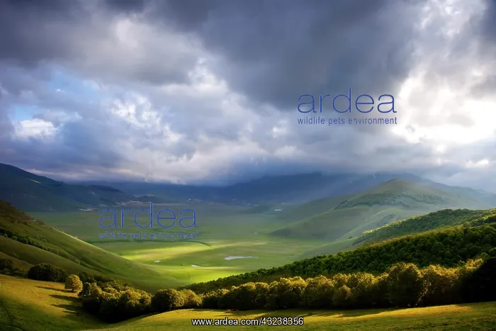 : Early morning over the Piano Grande, Monti : Early morning over the Piano Grande, Monti
