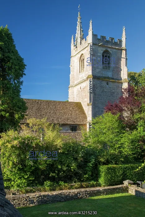 : Early morning below Saint Andrews Church, Castle : Early morning below Saint Andrews Church, Castle
