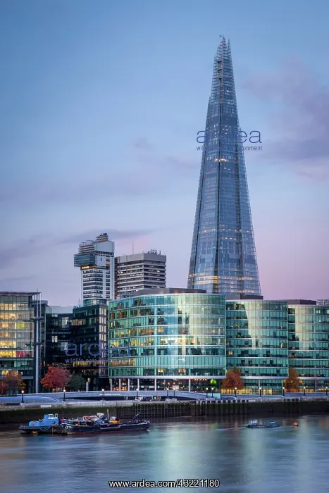 : Early morning over The Shard, City Hall : Early morning over The Shard, City Hall