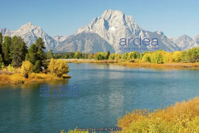 : Early morning sun on Grand Teton range from oxbow bend : Early morning sun on Grand Teton range from oxbow bend