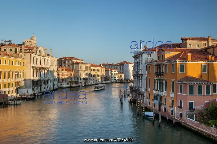 : Early morning view of Grand Canal, Venice : Early morning view of Grand Canal, Venice