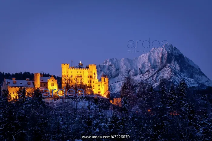 : Early morning view of Hohenschwangau Castle : Early morning view of Hohenschwangau Castle