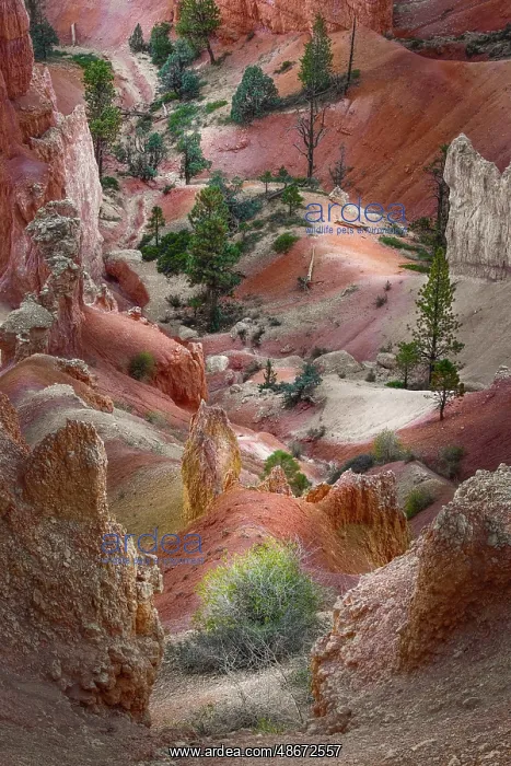 : Early morning view of hoodoo formations Bryce Canyon : Early morning view of hoodoo formations Bryce Canyon
