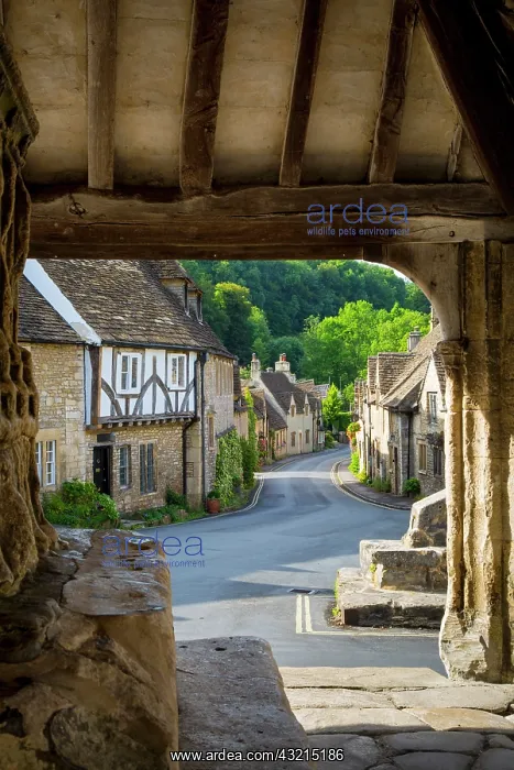 : Early Morning view through the Market Cross Monument : Early Morning view through the Market Cross Monument