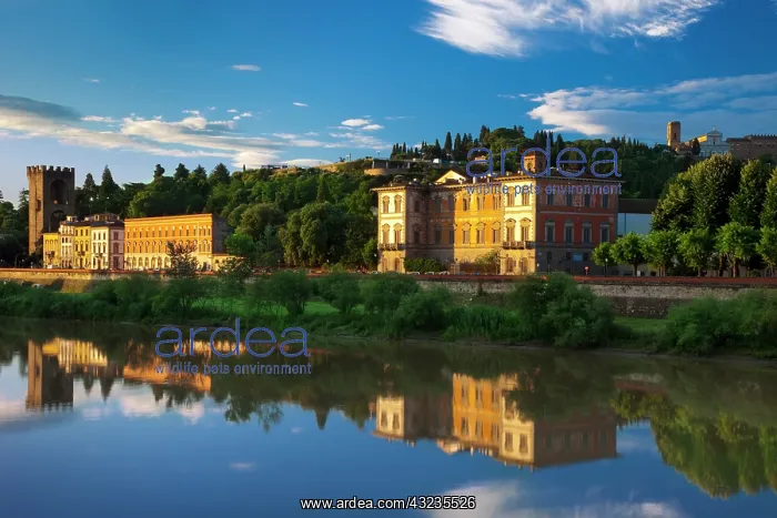 : Early morning view across the River Arno : Early morning view across the River Arno