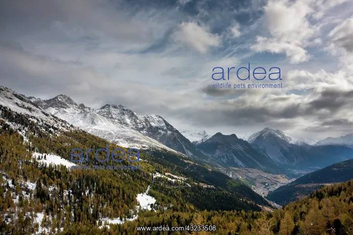 : Early winter in Valdidentro seen from Passo : Early winter in Valdidentro seen from Passo