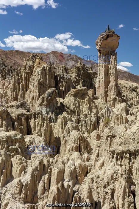  : Earth pyramids with rocks on top, called Demoiselles